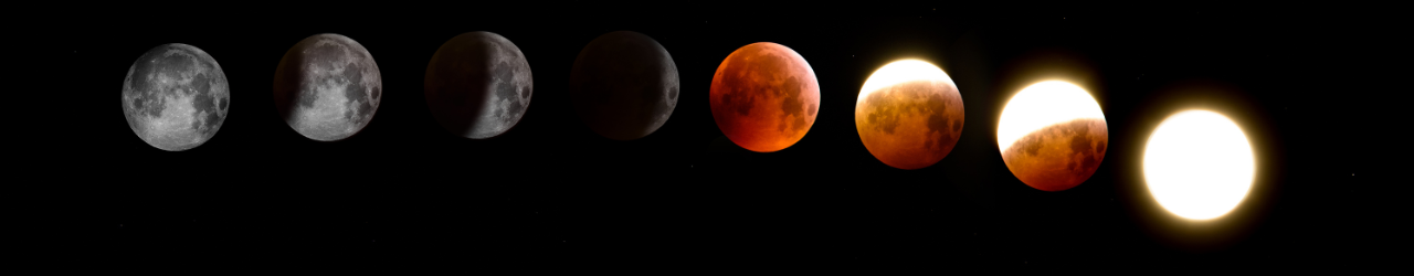 About Dr. Divit Astrologer - Vedic Jyotish Vidya Shodh Kendra